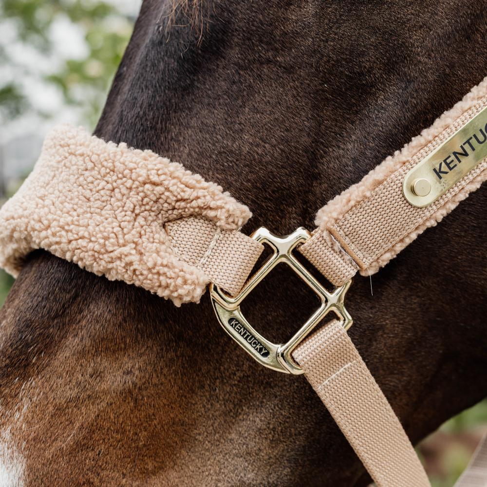 Licol Teddy fleece Vieux beige Pony 4/5