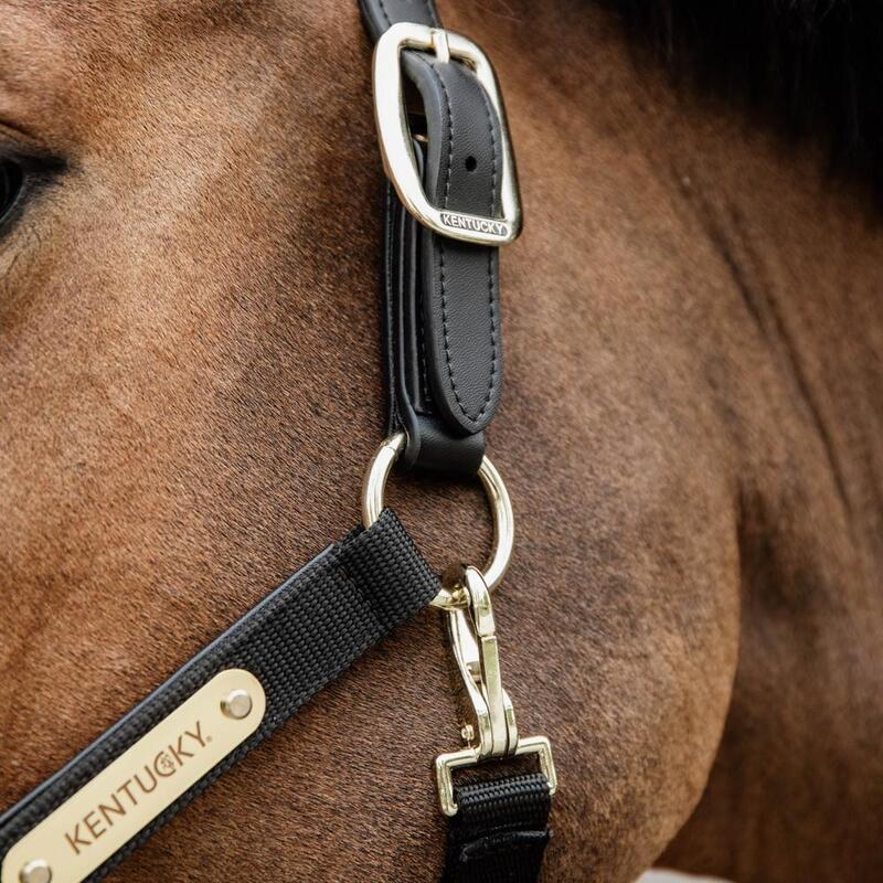 Kentucky Nylon Anatomic Halter Zwart -