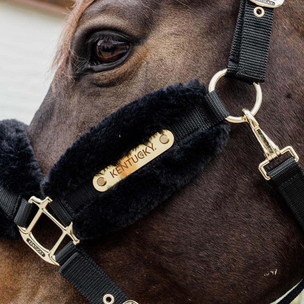 Nylon sheepskin Halter soft black shetland pony 3/4