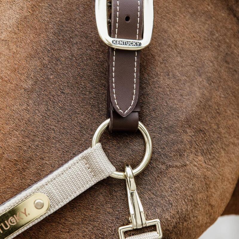 Kentucky Nylon Anatomic Halter Beige -
