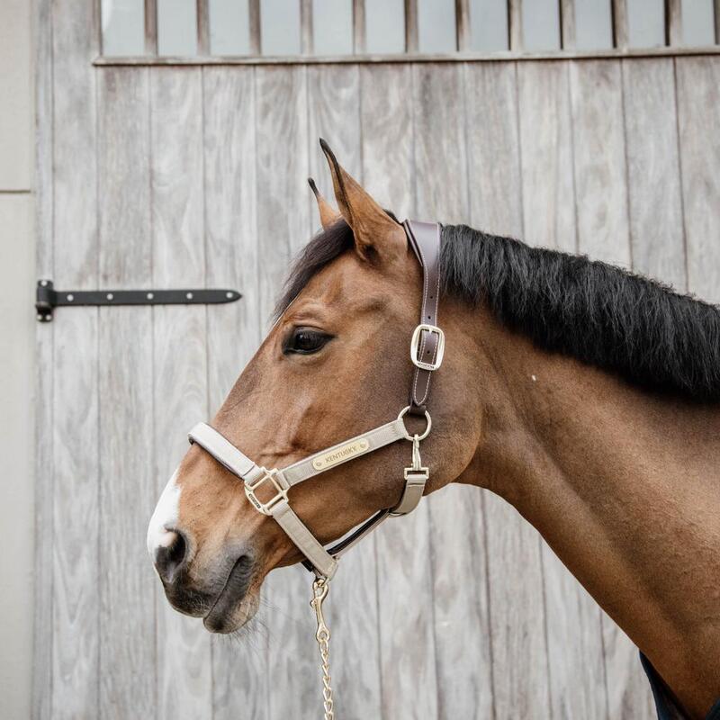 Kentucky Nylon Anatomic Halter Beige -