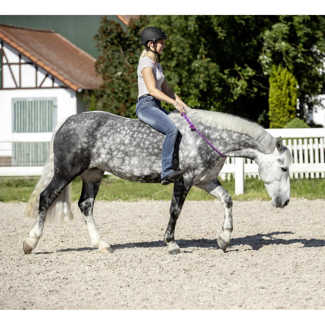 Rênes de cou ronde pour cheval USG 2/2