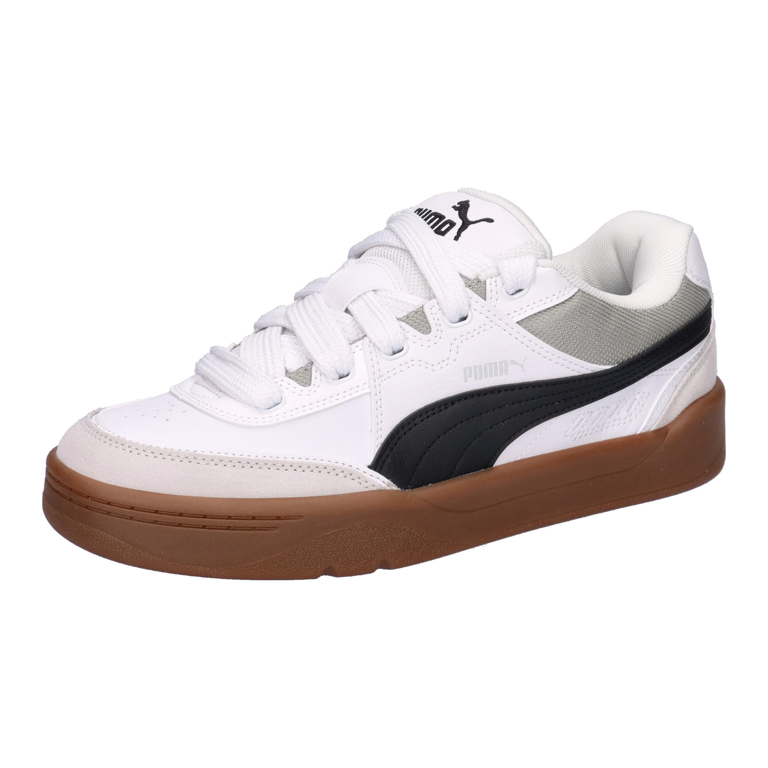 PUMA picture