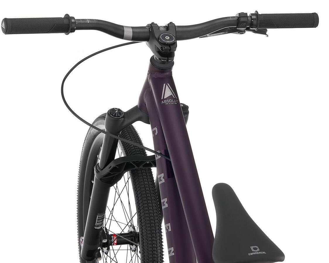 ABSOLUT 24 BMX-Rad in Metallic Purple 2/4
