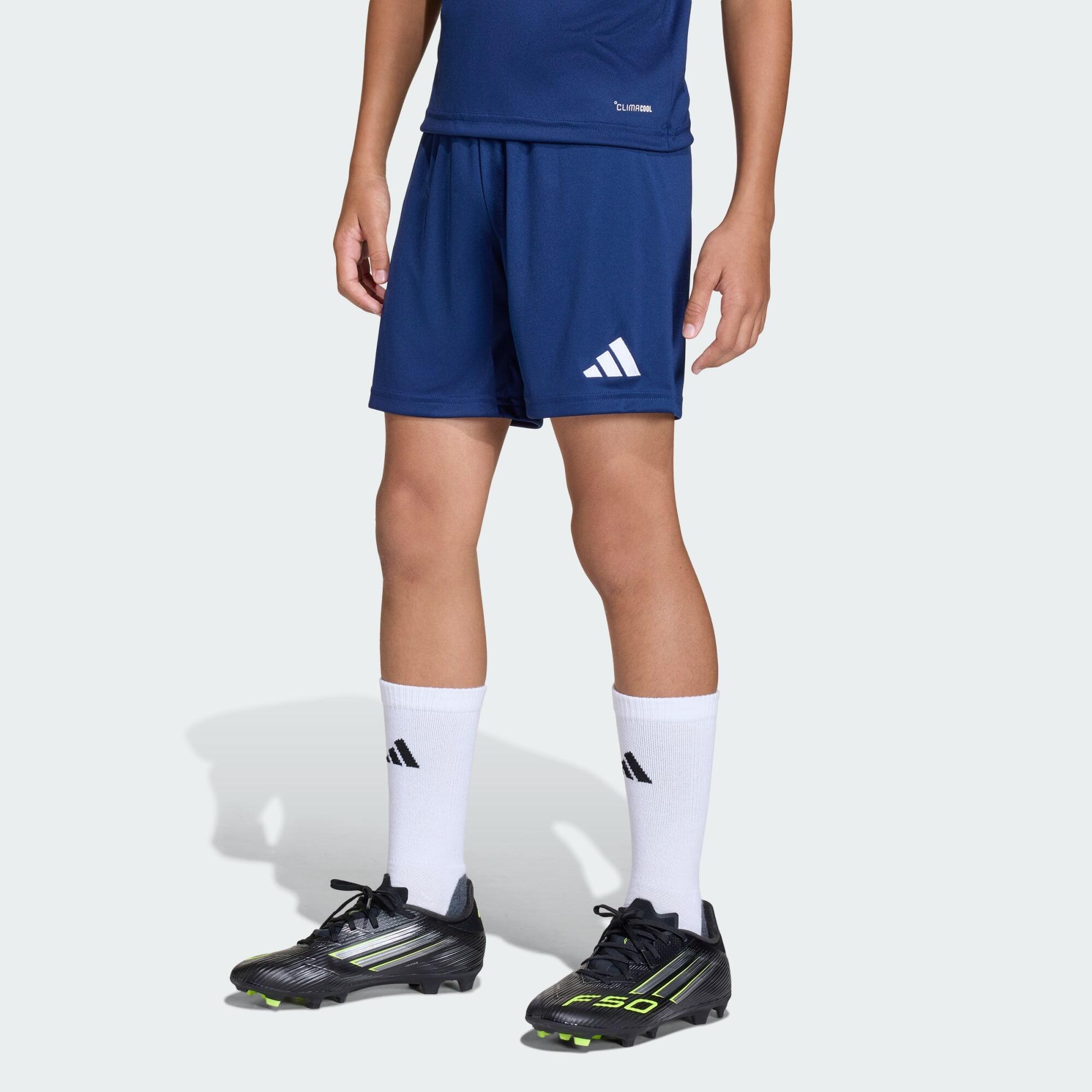 Adidas - Short Entrada26 Enfants - Short - Blanc|bleu - Decathlon