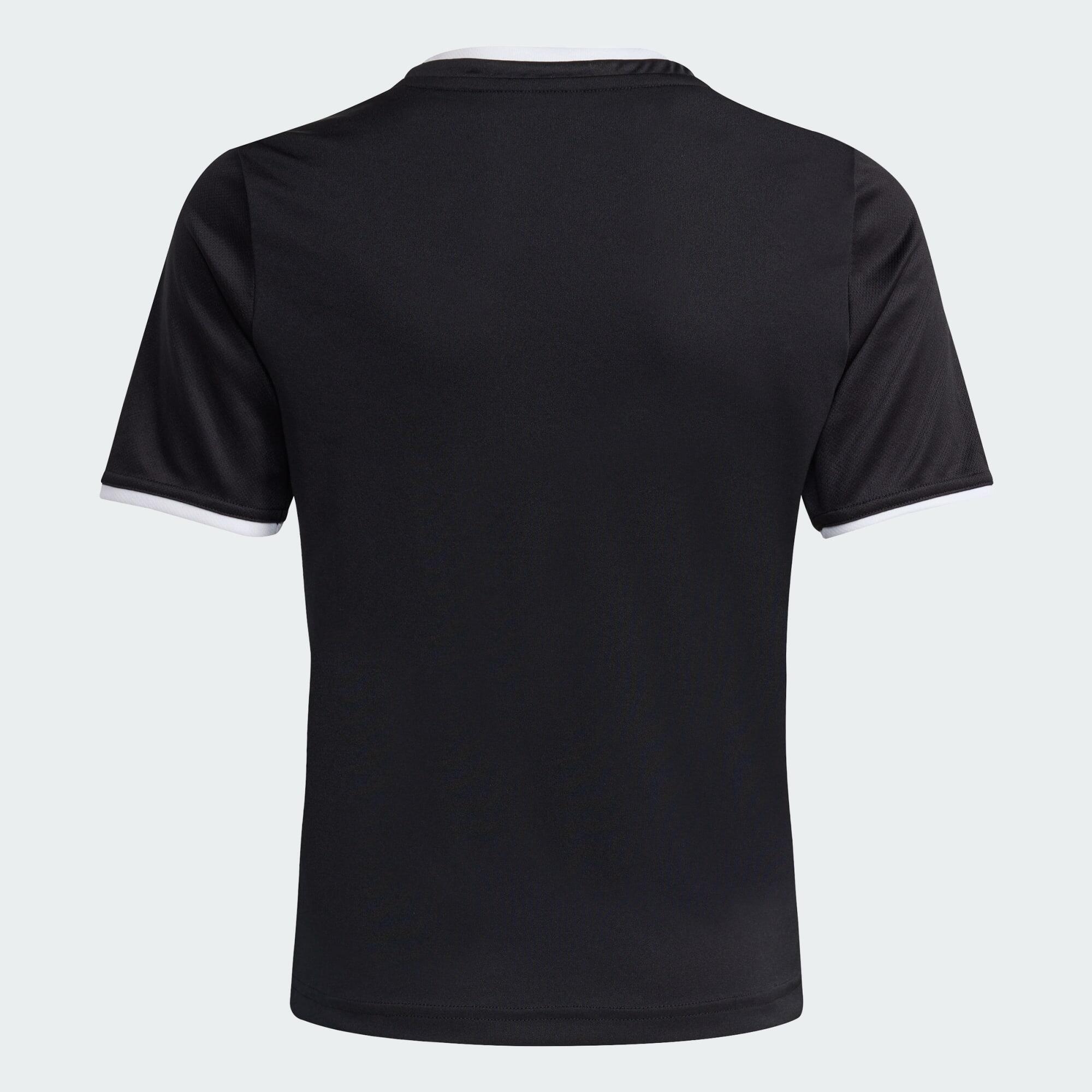 Maglia Entrada26 6/6