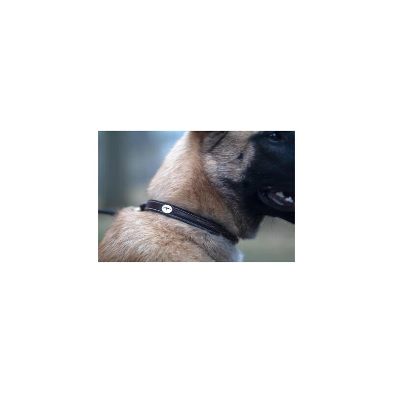 Dy'on Fancy Dog Collar Zwart -