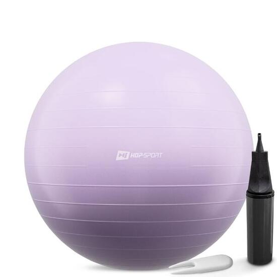 Piłka do ćwiczeń 65cm z pompką Hop-Sport HS-R065YB