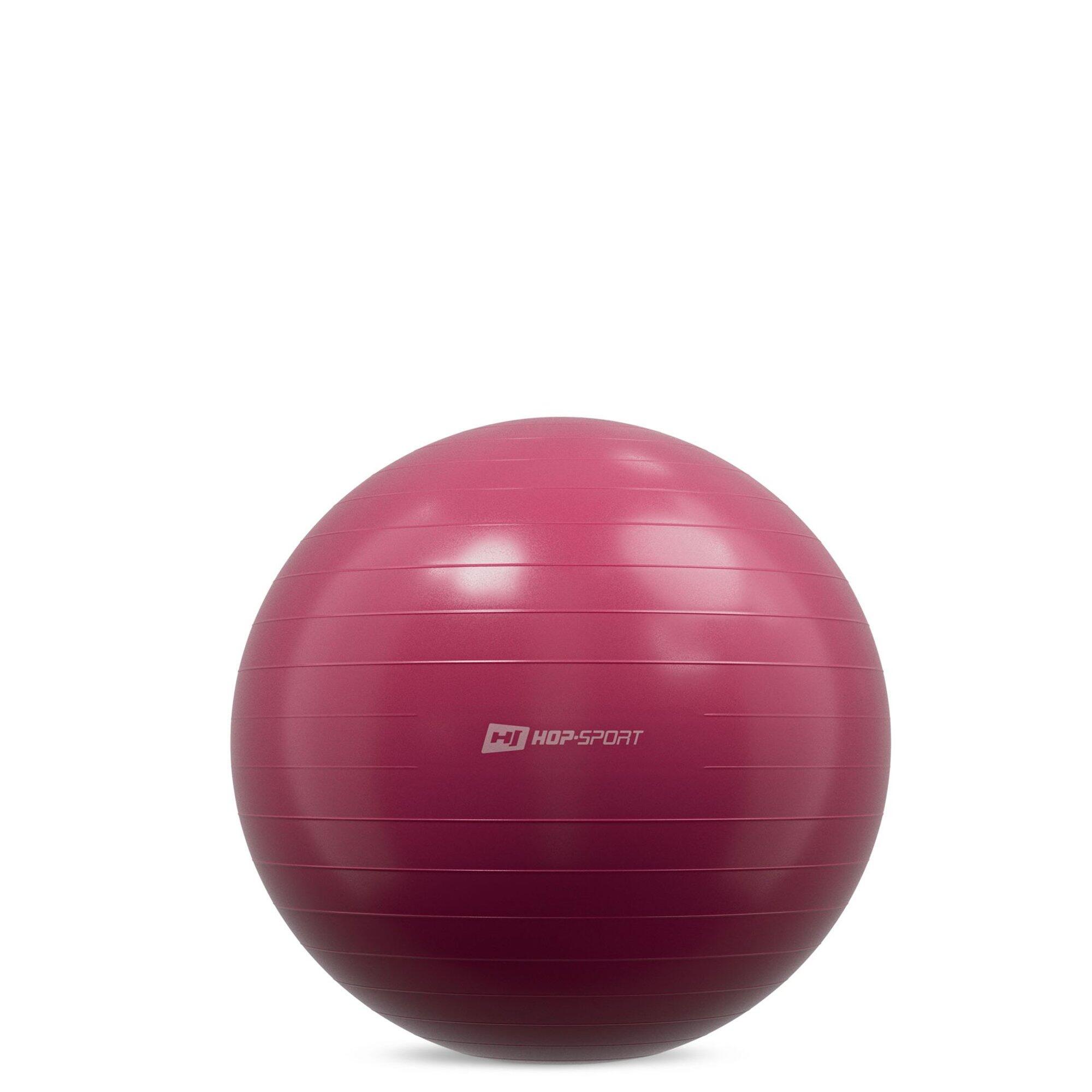 Piłka do ćwiczeń 45cm z pompką Hop-Sport HS-R045YB 2/6