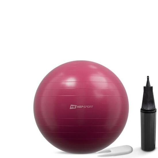 Piłka do ćwiczeń 45cm z pompką Hop-Sport HS-R045YB