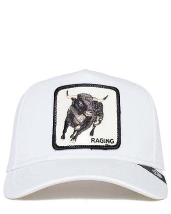 Casquette Goorin Bros Platine Rage Adulte