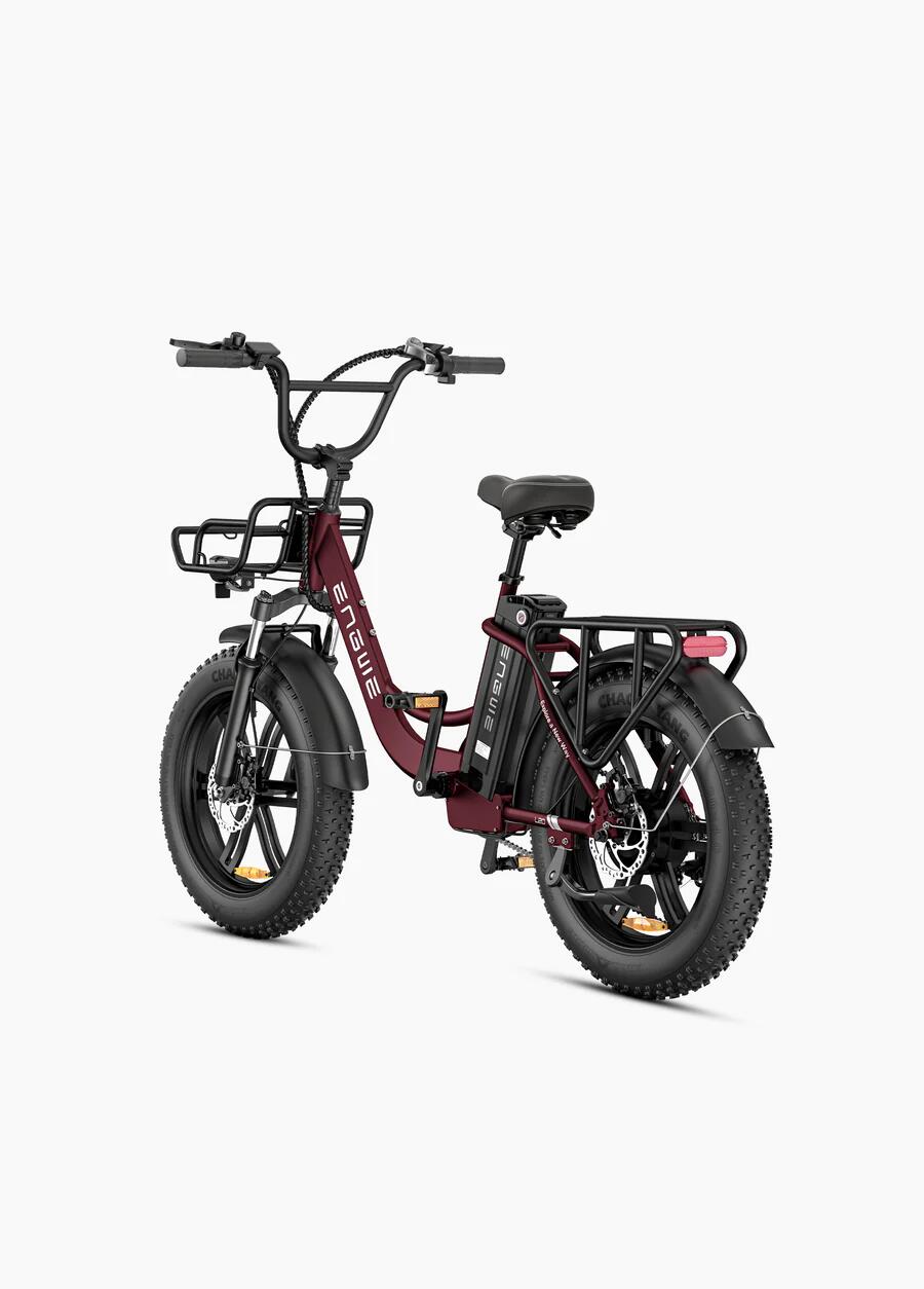 L20 Boost women's electric bicycle, 250 Watt motor power, top speed 25 km/h 3/7
