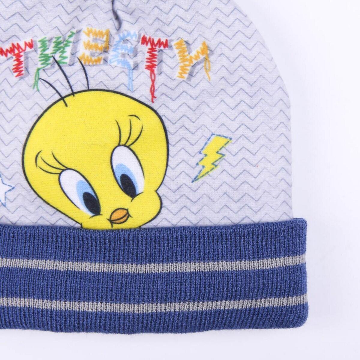 Gorro y Guantes Gris 2/5
