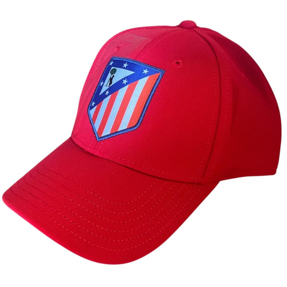 ATLETICO MADRID  picture