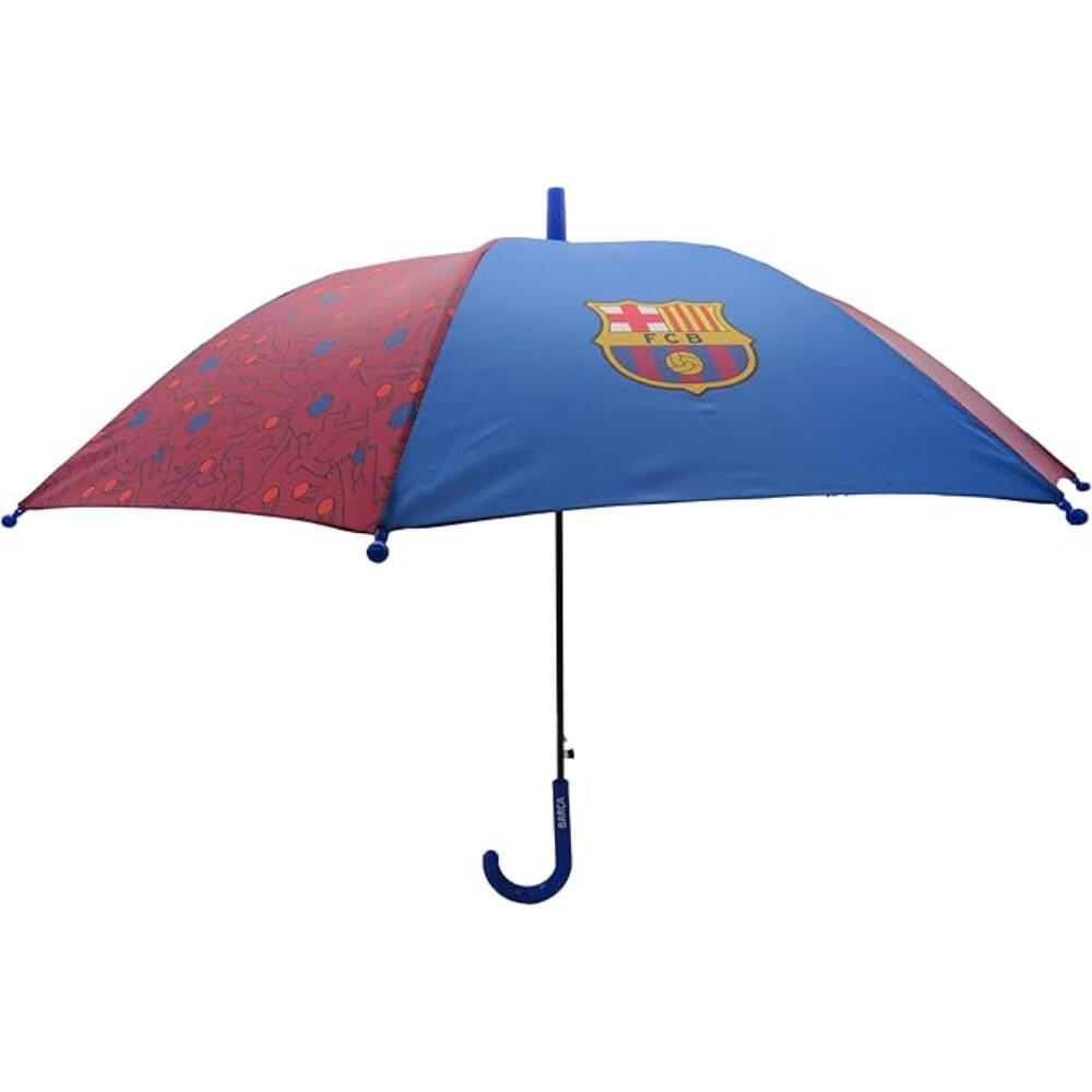 FC BARCELONA picture