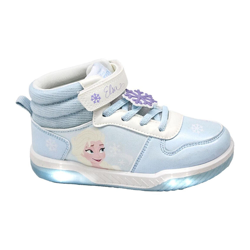 DISNEY FROZEN picture