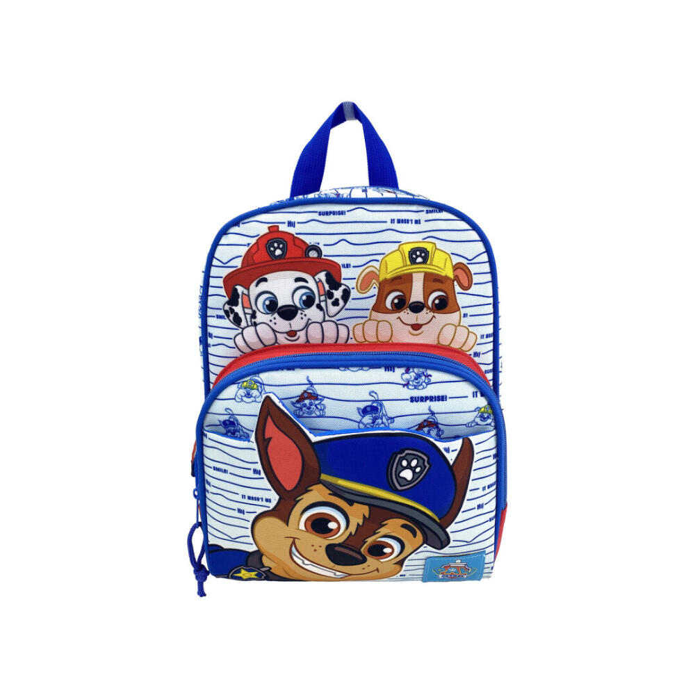 PAW PATROL picture