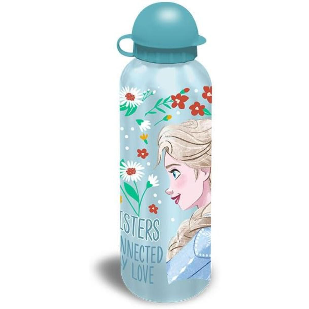 DISNEY FROZEN picture