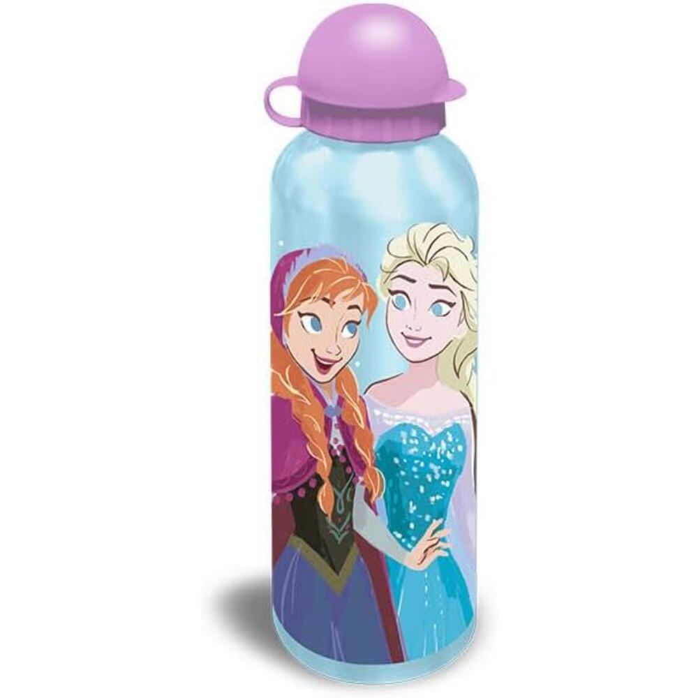 Botella Cantimplora Aluminio Frozen 500 ML Aleatoria 2/3