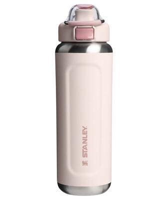 Fles stanley wellspring