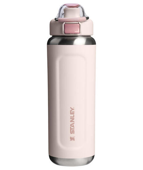 Bouteille Stanley Wellspring