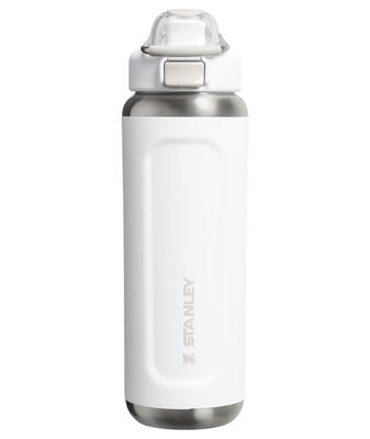 Fles stanley wellspring