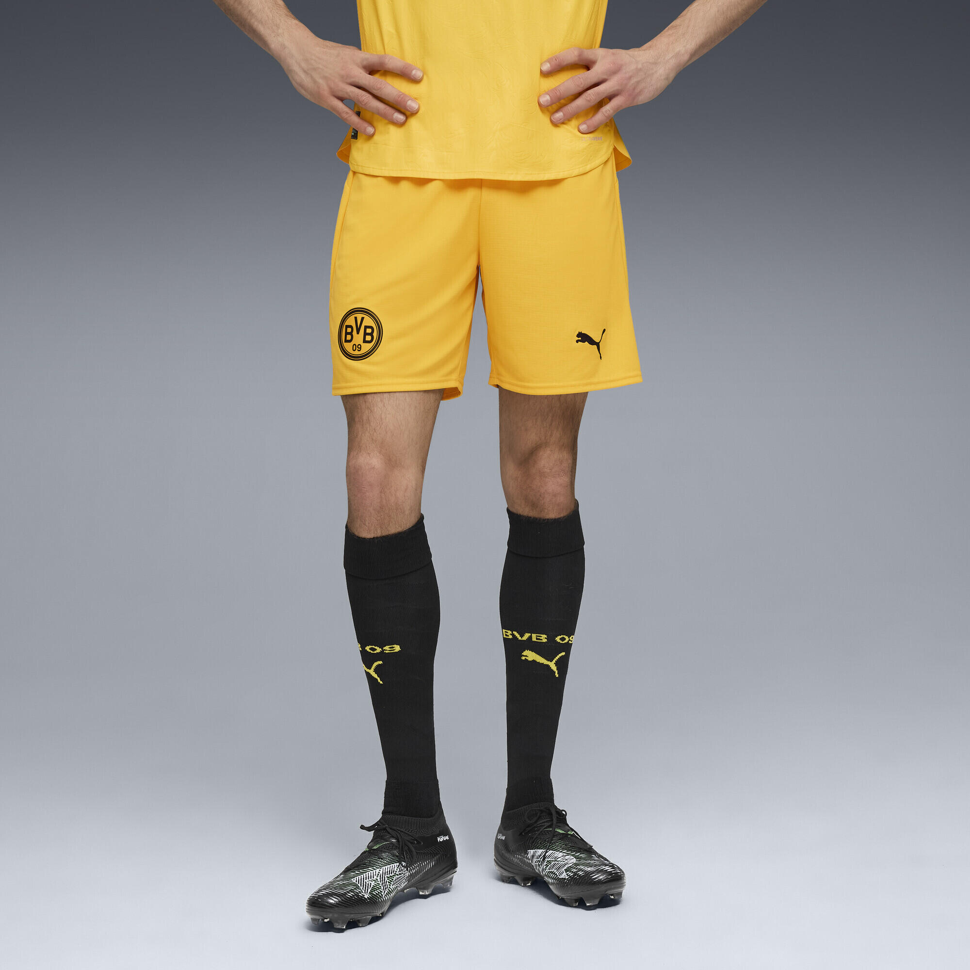 Borussia Dortmund 25/26 Shorts Herren PUMA 2/6