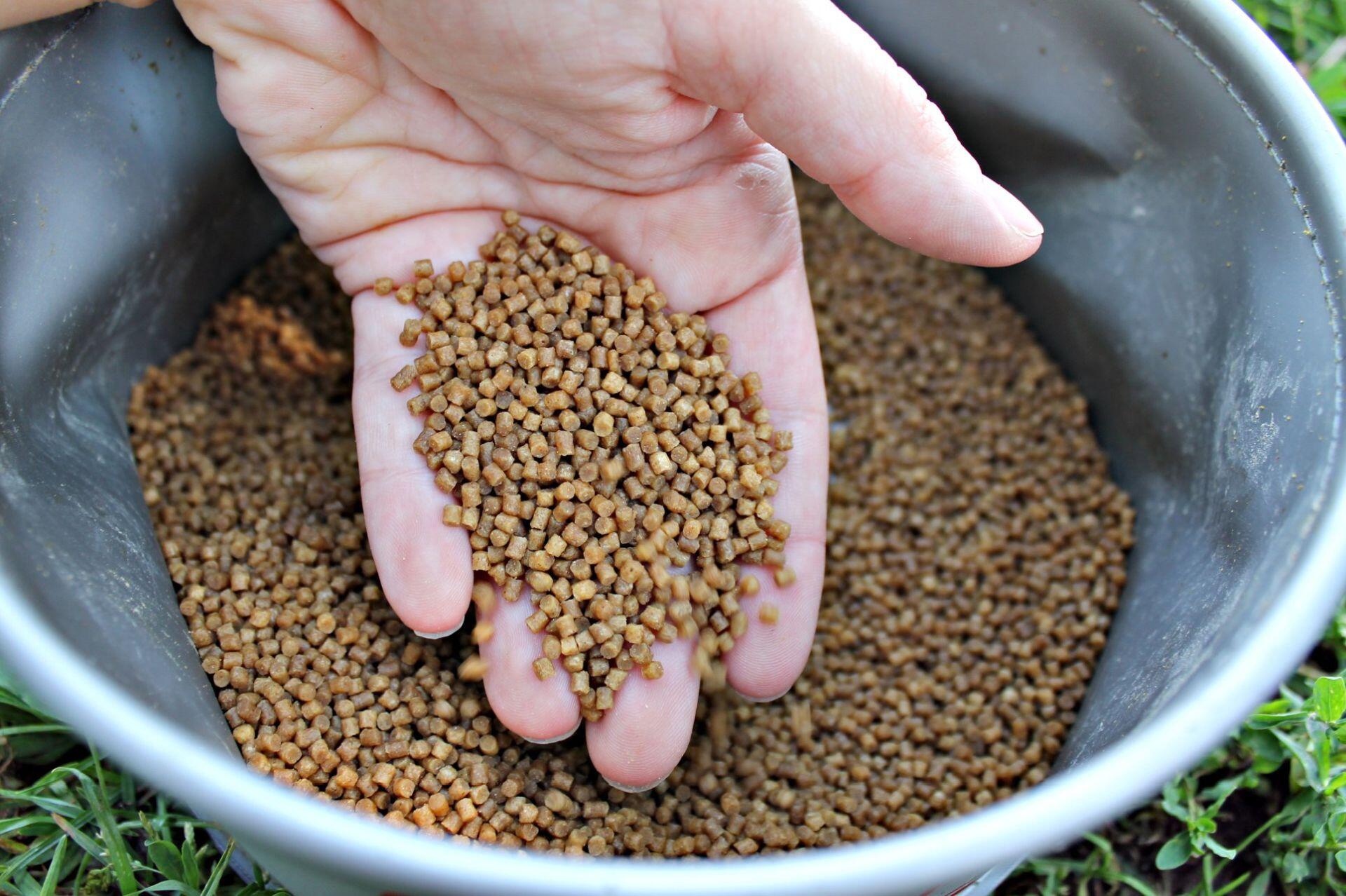 Pellet do Method /Feeder Winner 2mm/1kg - Kokosowa Słodycz 5/7