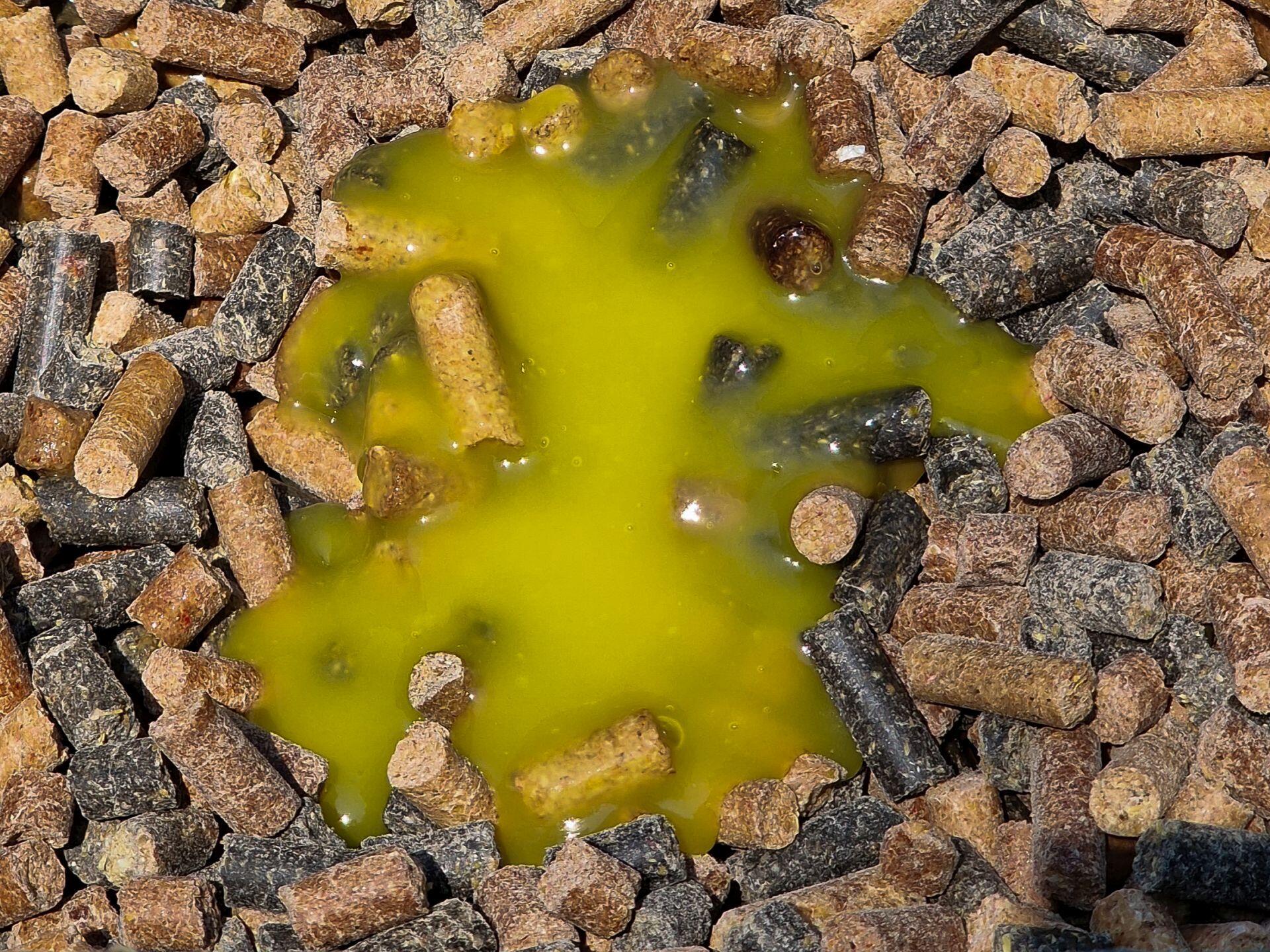 Carp Food Carp Pellet Mix Frucht & Süß 10kg 5/7