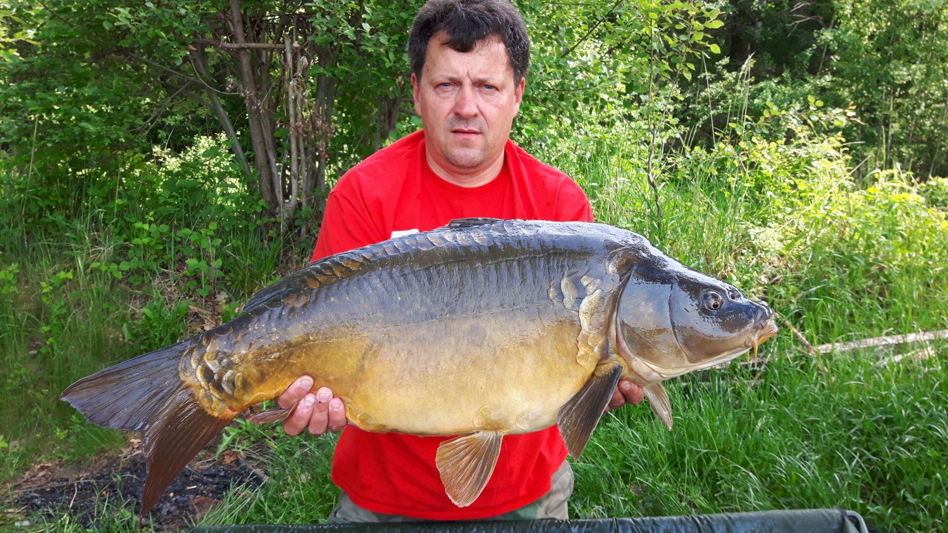 Pellet do Method /Feeder Winner 2mm/1kg - Kokosowa Słodycz 4/7