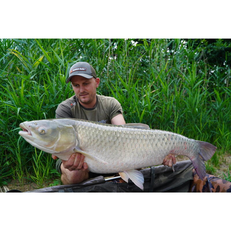Dip Carp Food Attract Total Scopex 100ml