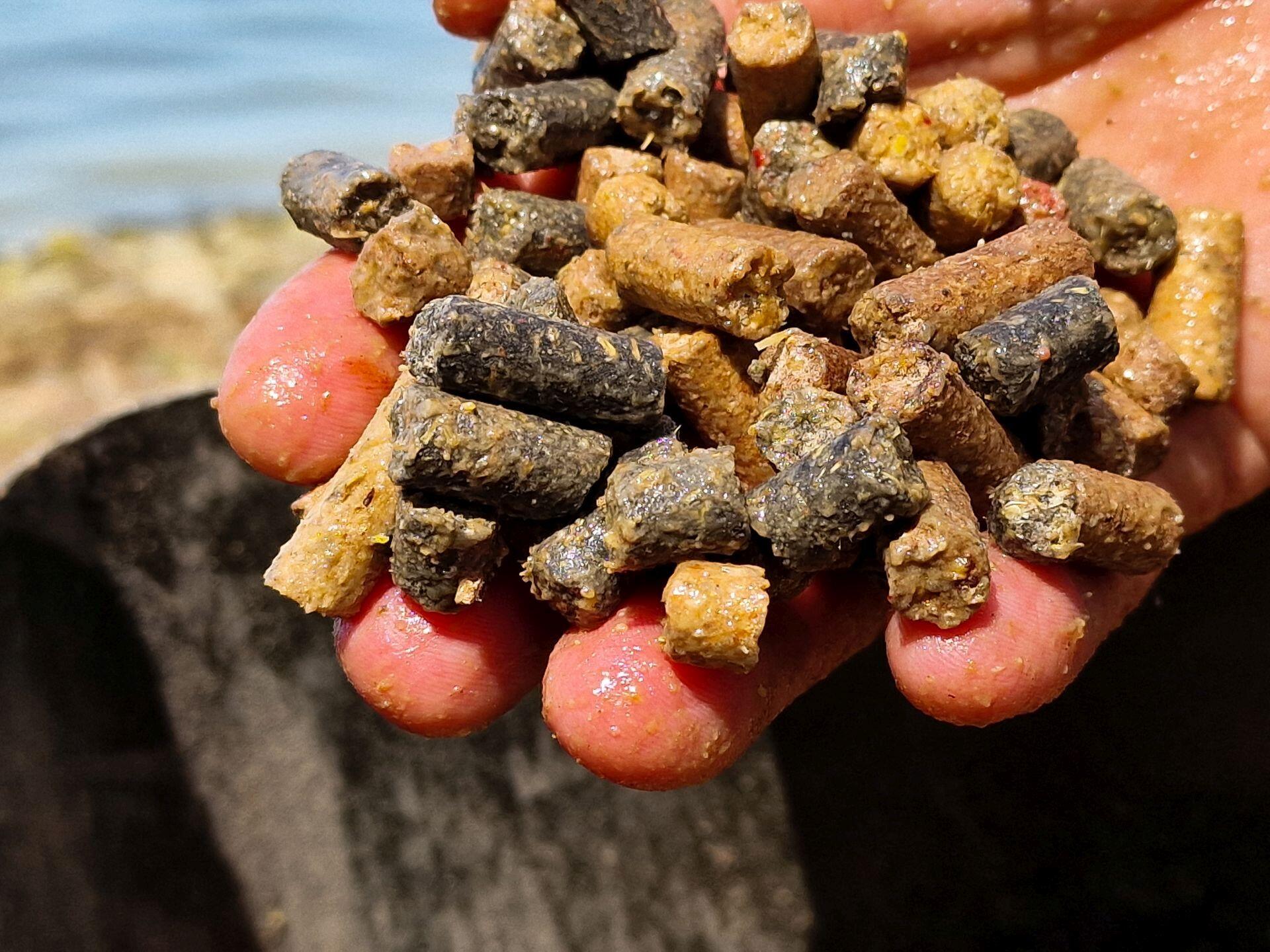 Carp Food Carp Pellet Mix Frucht & Süß 10kg 6/7