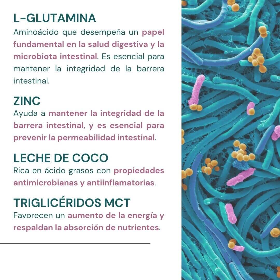 WeBotanix Probiotax Microbiota coco 150 g (30 dosis) 7/7