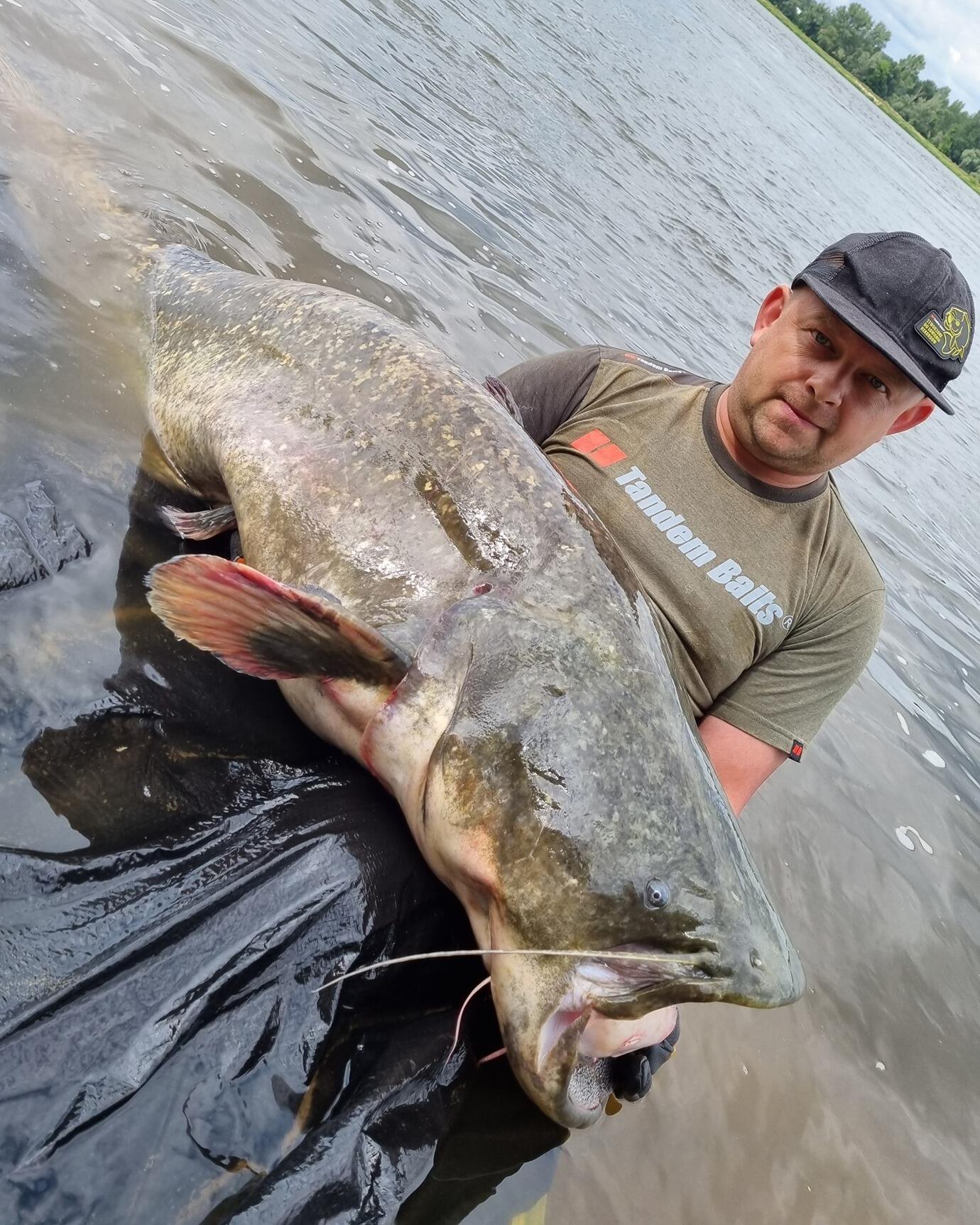 Przynęty sumowe Big Boilies 30mm/330g Świeża Wątroba 3/5