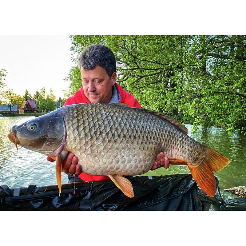 Plovoucí boilies Carp Food Perfection Jahoda 16mm 70g