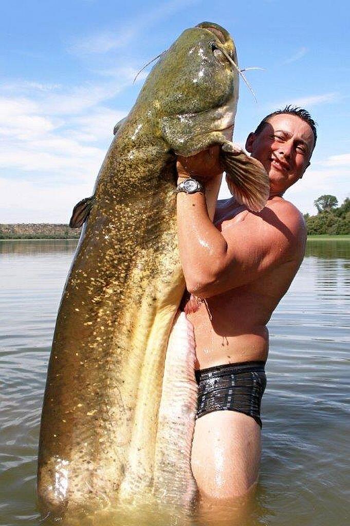 Spławik sumowy na rzekę Monster Cat 100g