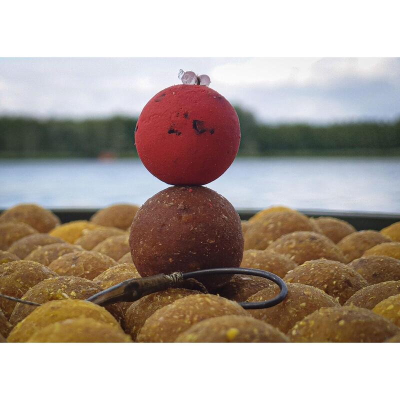Plovoucí boilies Carp Food Perfection Ryba & Škeble 16mm 70g