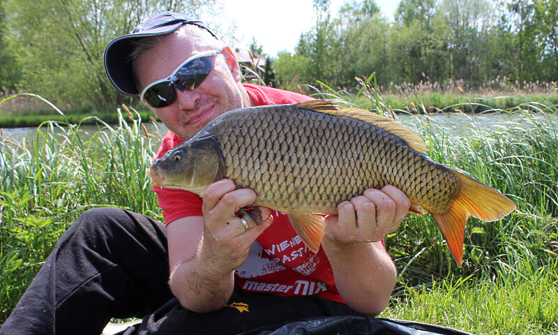 Wafters Fluo Method/Feeder Baits Gelso Plus 20g 6/7