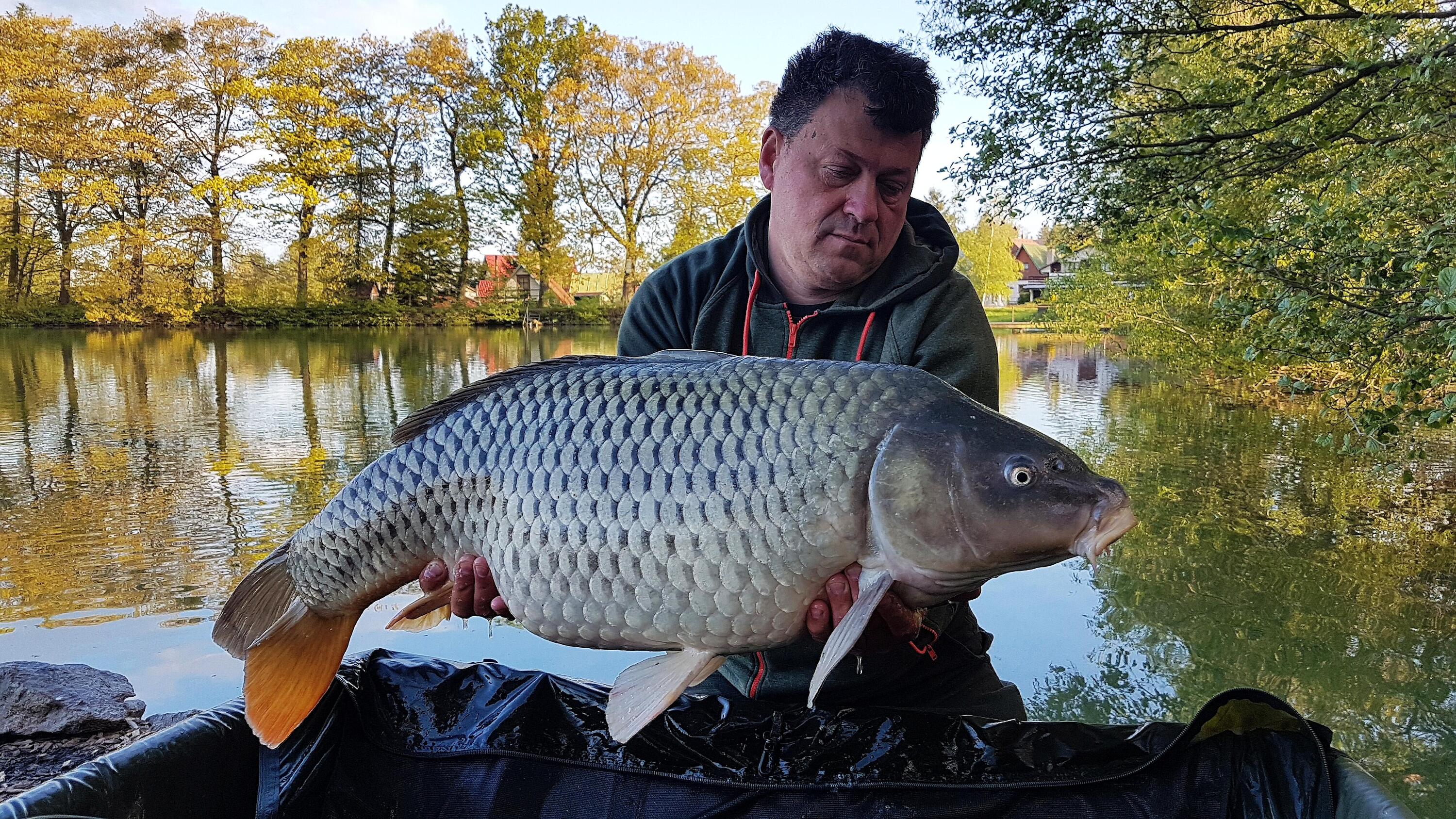 Karpiowy Pellet XL Carp Food 8mm/10kg Dojrzała Morwa 3/7