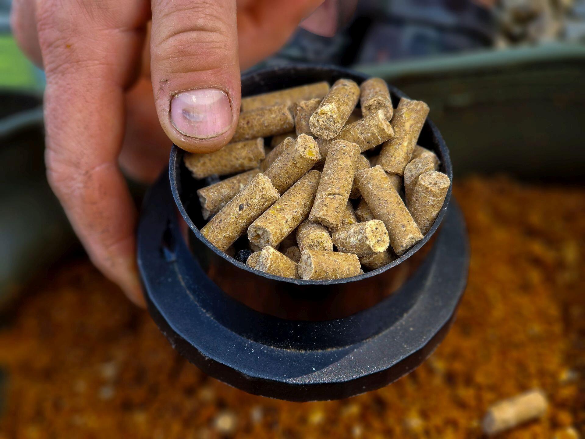 Carp Food Karper Pellets Tijgernoot & Hot Chili 8mm 1kg 6/7