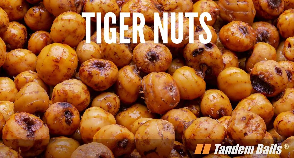Particelle Pronte Carp Food Tiger Nuts 5kg 2/3