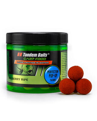 Carp food perfection pop-up boilies ripe mulberry 16mm/70g