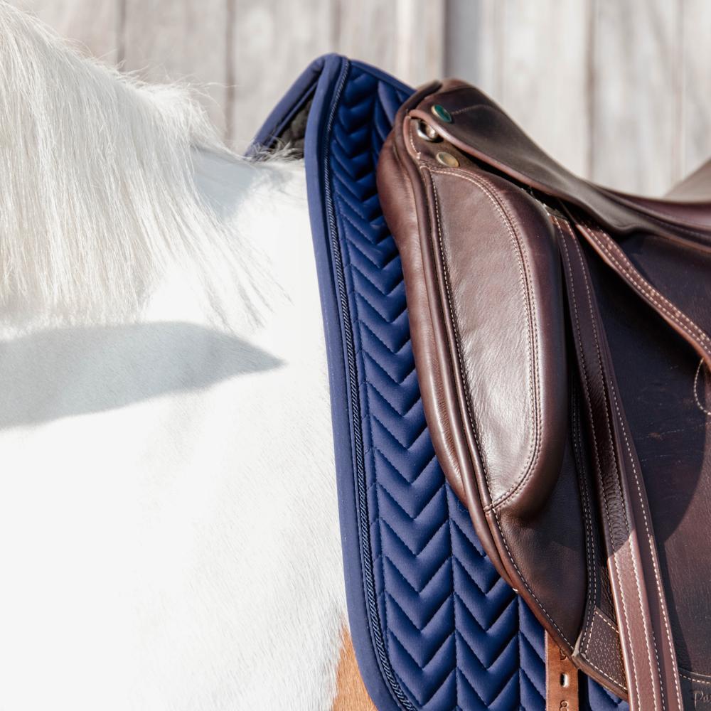 Sottosella dressage Kentucky Fishbone Competition 2/4