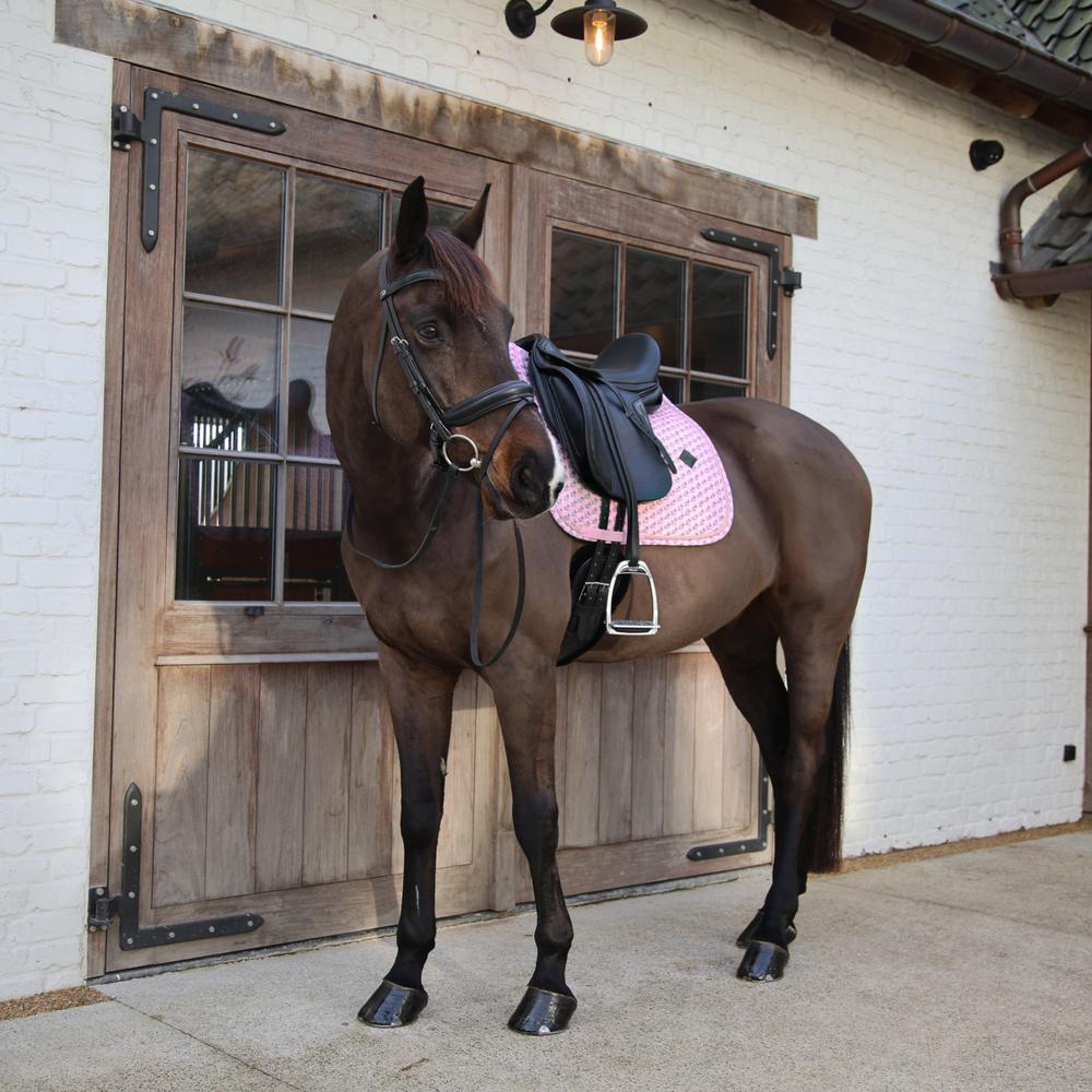 Tapis  sammy collection dressage old rose 3/5