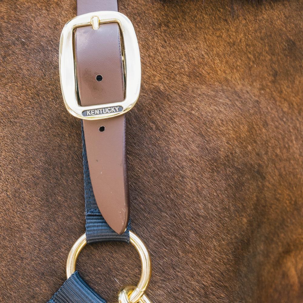 Nylon halter Breakaway navy Full 2/3