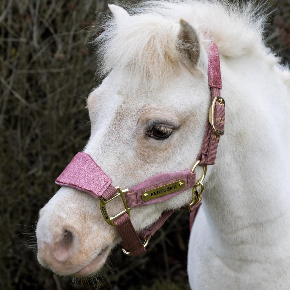 Velvet halter unicorn glitter old rose pony 4/5