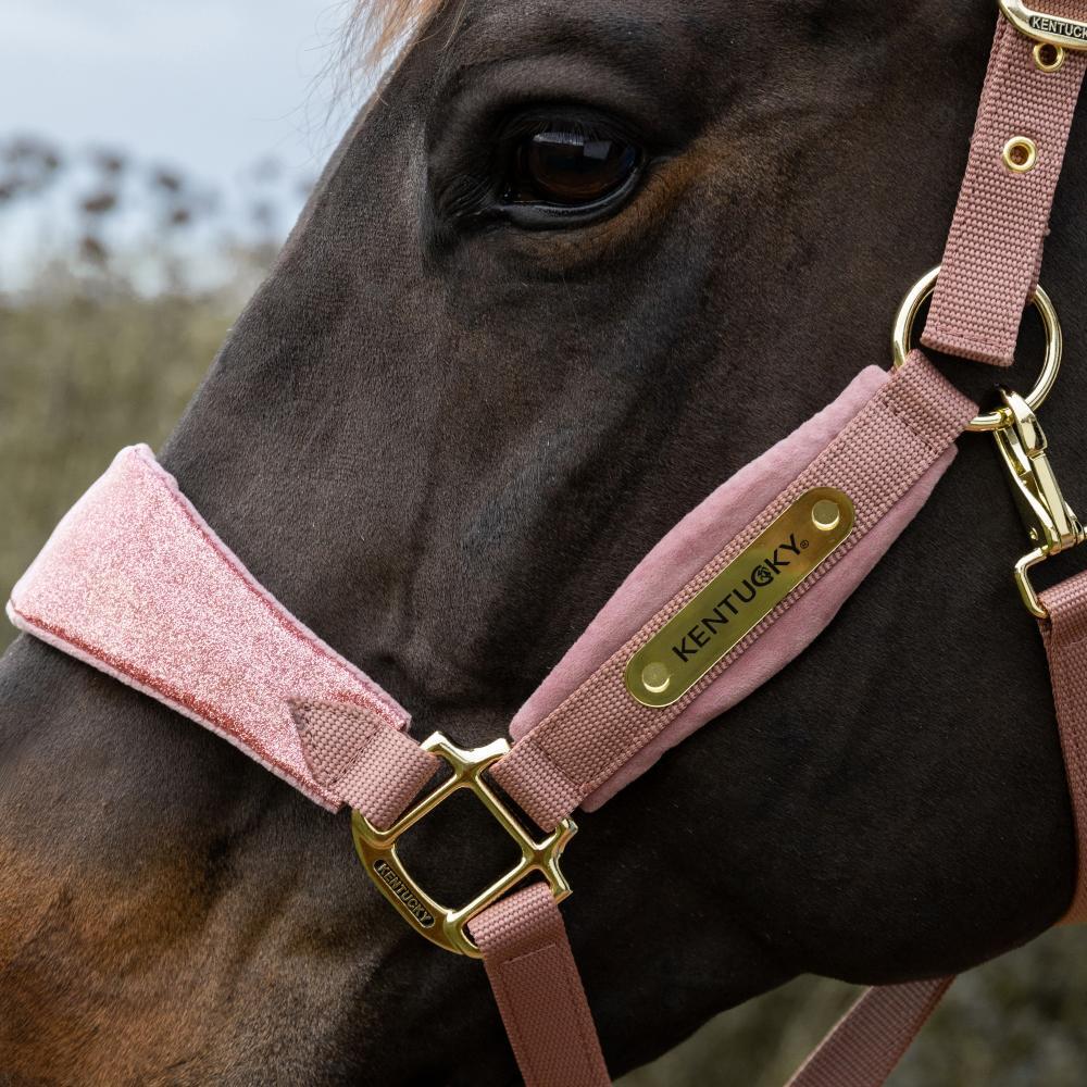 Licol velvet paillettes de licorne Vieux rose cob 3/5