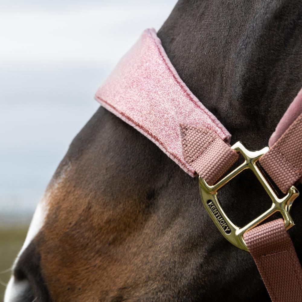 Licol velvet paillettes de licorne Vieux rose cob 5/5