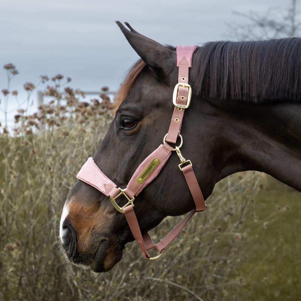 Licol velvet paillettes de licorne Vieux rose cob 4/5