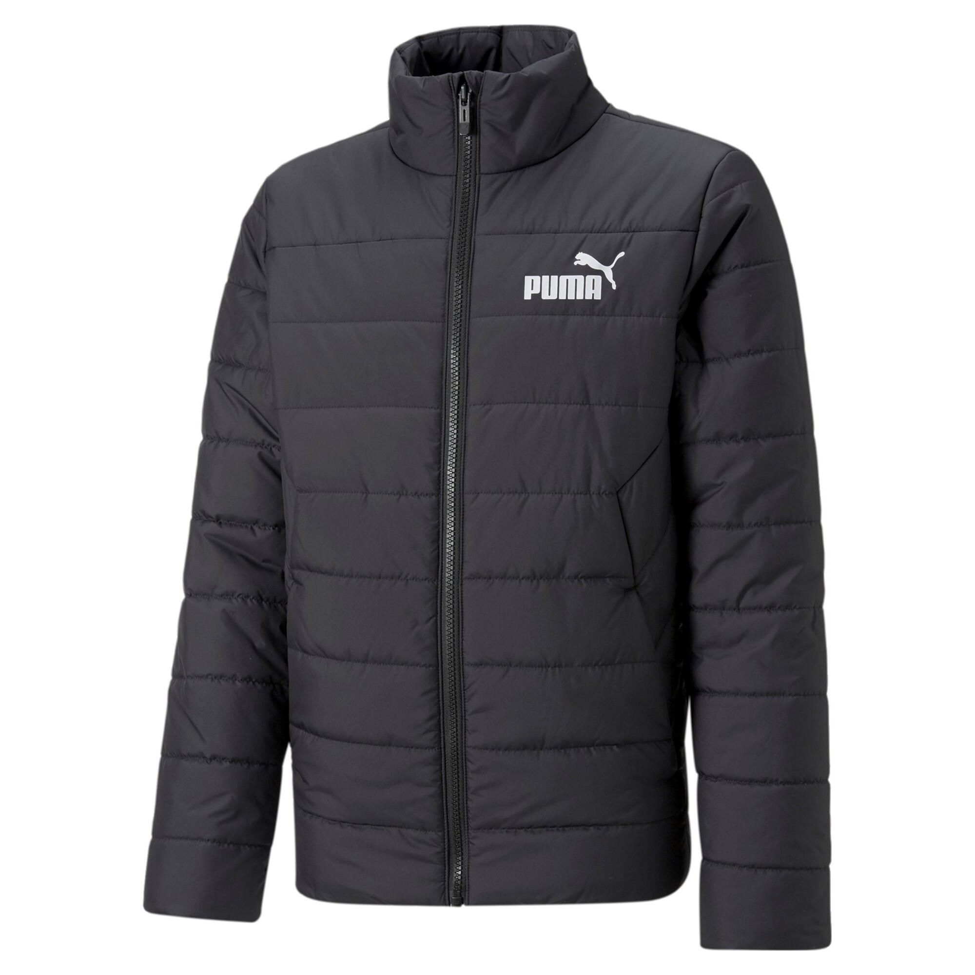 PUMA picture